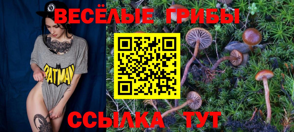 Ейск  закладки  Вход с VPN  Галлюциногенные грибы Cubensis 