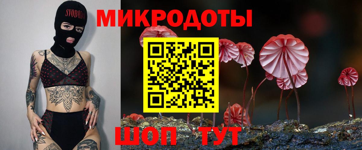 Псилоцибиновые грибы прущие грибы Ейск