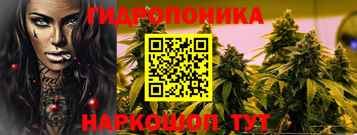 Бошки марихуана гибрид  Вход с VPN  Конопля VHQ  Ейск  Бошки марихуана Ganja 